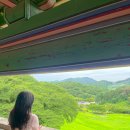 상당산성 | 청주 데이트 코스 &#34;상당산성&#34; 후기_자연 美 최고!🍀💚