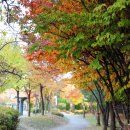 동백3로 이미지