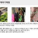 초록원스마트팜