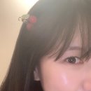 라니네 애견샵 | 제주도 소품샵추천 제주신상소품샵 달믄곳 다녀와본후기