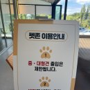 서현포스파크 | [분당 맛집] 월페이퍼 &#34;분당 브런치&#34; 즐길 수 있는 율동공원 맛집 방문후기