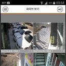 HD급 고화질 CCTV 시공업체입니다-스마트폰앱에서 실시간 탐지 확인 가능 이미지