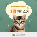 본동물병원 | 안양본동물의료센터 3월 진료후기, 안양24시동물병원