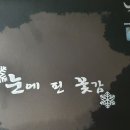 노래하는나뭇가지