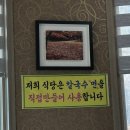 낙지한마리칼국수 | 태안 안면도 칼국수 맛집 • 낙지한마리칼국수 :: 반려동물 동반 가능 내돈내산 현지인 찐맛집 후기