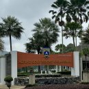 alpine | 치앙마이 한달살기(feat. 골프) :: 알파인(ALPINE) CC 후기⛳️