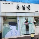몽실캣 이미지