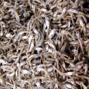 풍어횟집 이미지