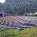 덕례농장 이미지