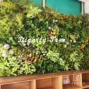 관호초등학교 | 학교실내조경, 벽면녹화 조화 아트월로 푸르르게! 경북 칠곡 관호초등학교 후기!