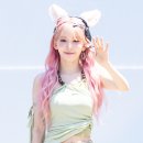 핑크래빗