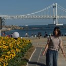 와와수선 | 부산 🌊 광안리 여행 🌻쇼핑몰 추천 원그린/솔레뜨/다이소/썸웨어버터