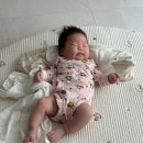 우량아 | 유니클로 바디수트 60 사이즈 4kg 우량아 착용 후기