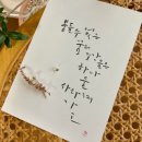 하루와이틀 이미지