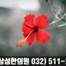 동암경희한의원 이미지