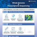 (주) 티엔티리써치 이미지