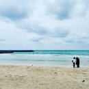 월정 산도롱펜션 이미지