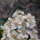 청풍농장 이미지