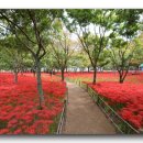 봉곡동251 이미지