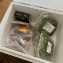 들레마켓 이미지