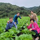 달산석유