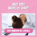 양이분 | 생리양이 너무 적어요 줄었어요 적음 급감 감소 원인과 4주만에 정상으로 돌아온 후기