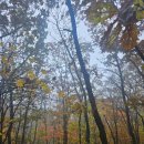 평창알펜시아공인중개사사무소 | 오대산 자락 사찰·템플스테이·글램핑·전통카페 단 하나의 힐링 복합단지