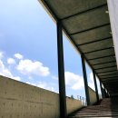 지혜의 숲 도서관 이미지