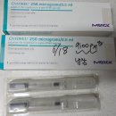[난임일기장] #2. 부천 마리아 시험관 시술 1회하는데 들어가는 비용과 기간 (최주희 부장님으로 전원...