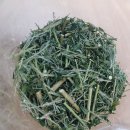 3공단3로3L-1 이미지