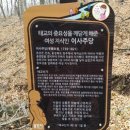 이사주당?유한규묘 이미지