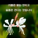 타루 카카오 검색결과