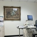 (주) 한밭메디칼 | 엘에이에서 출산하기(내가 원정출산이라니) #5