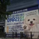 텔링쉼터 - 시흥시 중심상가3길 12 | 광주애견카페 유치원 호텔 미용까지 한번에? 가오픈한 아우라멍 다녀온 후기