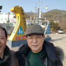 진한소프트 이미지