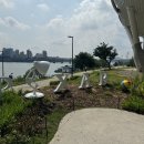 뚝섬한강공원-70 이미지