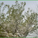 황골농장 이미지