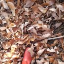 군서농장 이미지