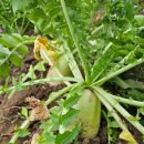 용동농장 이미지