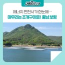 대천 태양광발전소 이미지