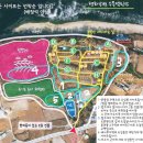 평화강변수목캠핑장 이미지