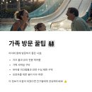 아일랜드캐슬 워터파크 티스토리