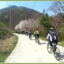 청풍랜드 이미지