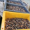 향남서비스 이미지