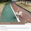 죽전소공원 이미지
