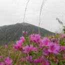 소오산