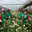 현진농장 이미지