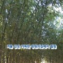 남송생복어요리 이미지