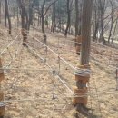 파주시유아숲체험원 이미지