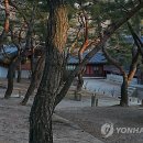 코리아레드파인 이미지